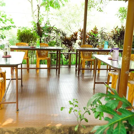 Isiri River Side Stay Kalasa Exterior photo