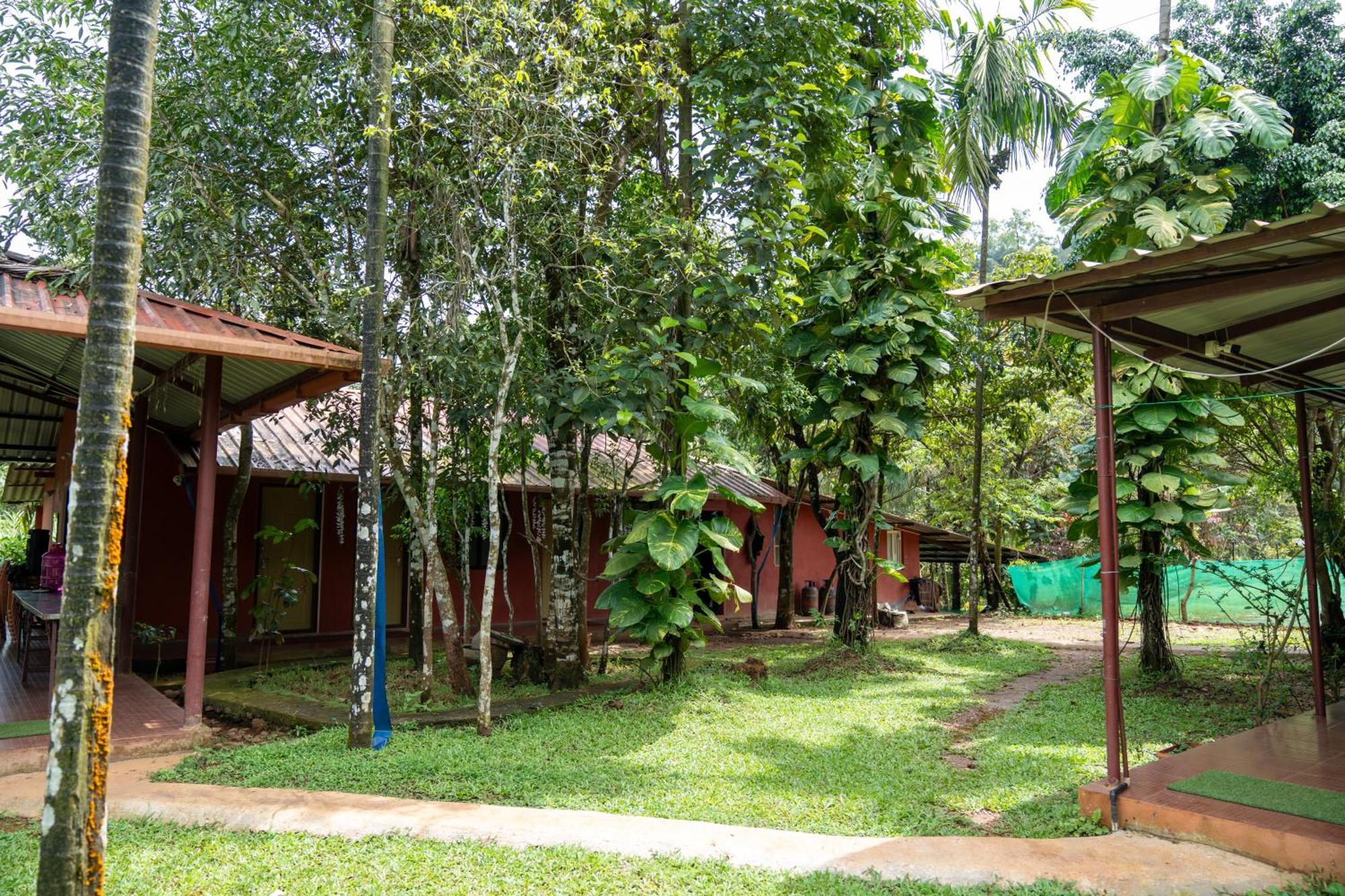 Isiri River Side Homestay